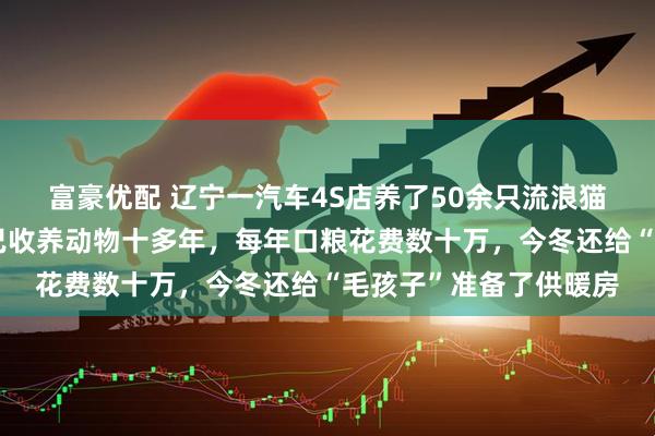 富豪优配 辽宁一汽车4S店养了50余只流浪猫狗,工作人员称老板已收养动物十多年,每年口粮花费数十万,今冬还给“毛孩子”准备了供暖房
