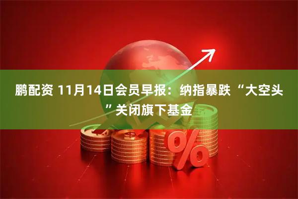 鹏配资 11月14日会员早报:纳指暴跌 “大空头”关闭旗下基金