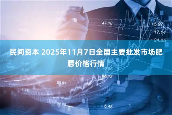民间资本 2025年11月7日全国主要批发市场肥膘价格行情