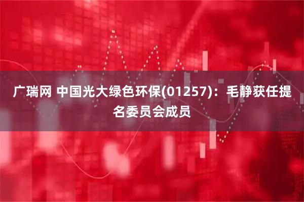 广瑞网 中国光大绿色环保(01257)：毛静获任提名委员会成员